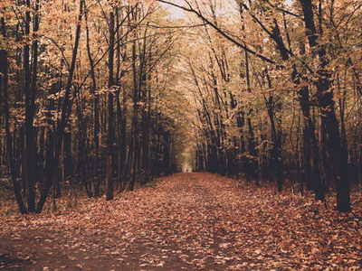 Cool No Wind Autumn Day